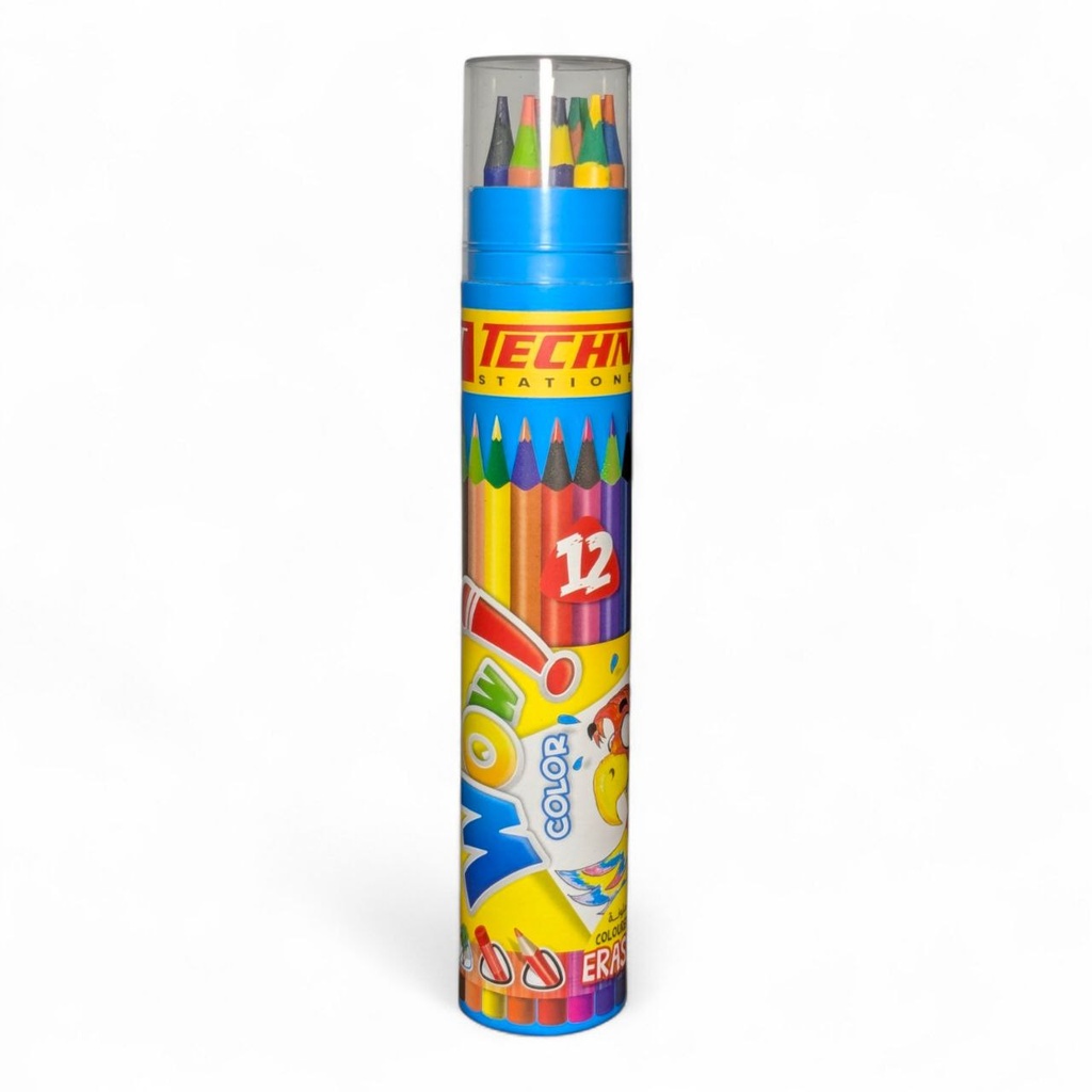 CRAYONS DE COULEURS EFFACABLE 12 CLR EN BOITE RONDS REF 6923 TECHNO