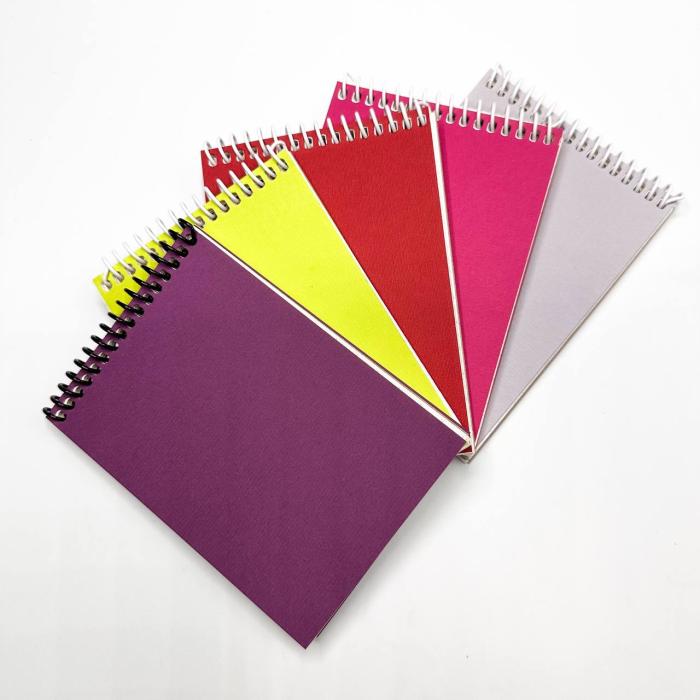BLOC NOTE A4 SPIRAL 96P REF 18130 CLASVIT 