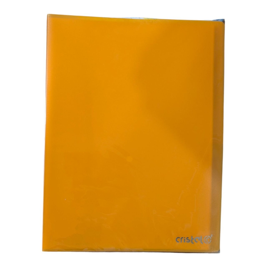 PORTE VUES SOUPLE  40P 80V REF CR-0304 CRISTAL 
